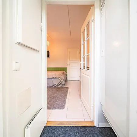 Daire Levistar Arctic Blueberry