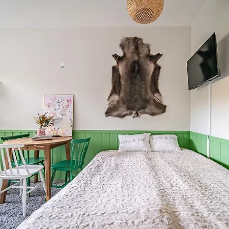 Levistar Arctic Blueberry Daire Levi