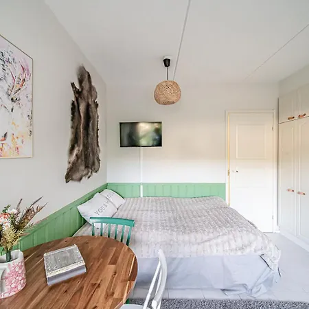 Levistar Arctic Blueberry Levi