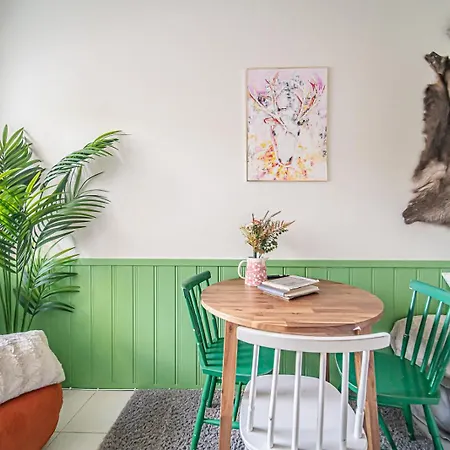 Levistar Arctic Blueberry *