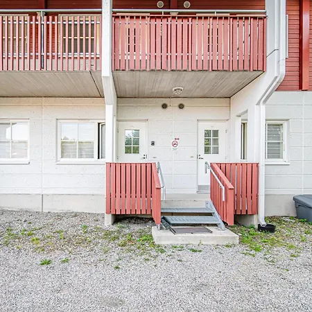 Levistar Arctic Blueberry