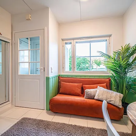 Levistar Arctic Blueberry * Levi