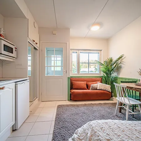 Levistar Arctic Blueberry