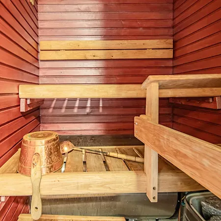 Levistar Arctic Blueberry Daire *