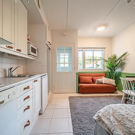 Daire Levistar Arctic Blueberry *