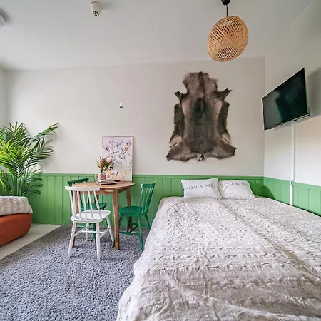 Levistar Arctic Blueberry Daire *