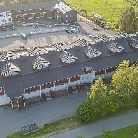 Levistar Arctic Blueberry Daire Levi