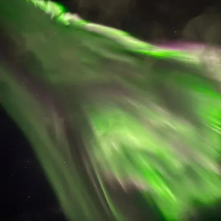 Levistar Arctic Blueberry Appartamento