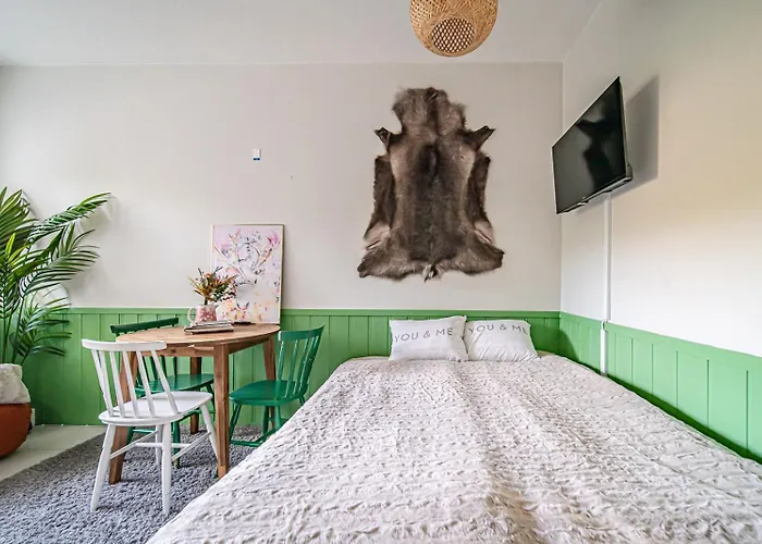 Levistar Arctic Blueberry Appartement Levi