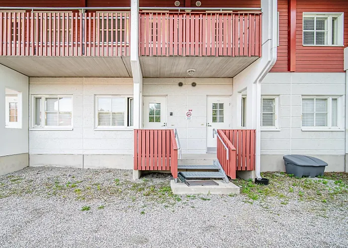 Levistar Arctic Blueberry