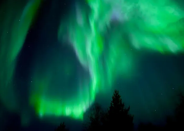 Levistar Arctic Blueberry Apartament