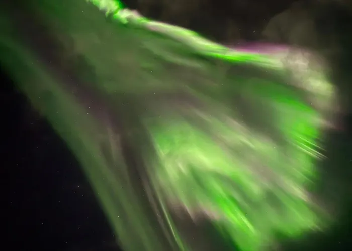 Levistar Arctic Blueberry Appartamento